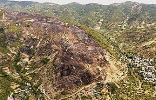 Uçmakdere’de yanan alanlar havadan görüntülendi