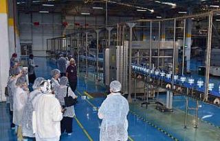 Uludağ’dan gelen bir damlanın hikayesi