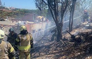 Ümraniye’de ağaçlık alanda çıkan yangın paniğe...