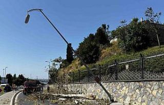 Üsküdar’da ağaç seyir halindeki otomobilin üzerine...