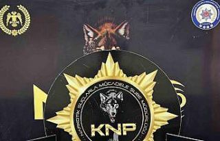 Uyuşturucu operasyonunda 2 kişi tutuklandı