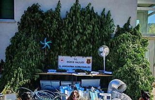 Uyuşturucu yetiştirene büyük darbe