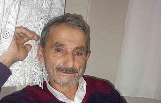 Üzerine ağaç devrilen adam hayatını kaybetti