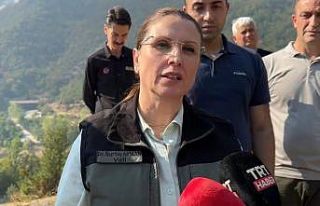 Vali Arslan’dan yangına ilişkin açıklama