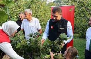 Vali Aslan, önce horon oynadı ardından hasat sezonunu...