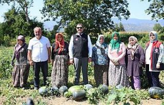Vali Aslan, uygulama tarlasında incelemelerde bulundu