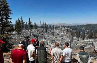 Vali Mehmet Fatih Çiçekli: "Yangın tamamen...