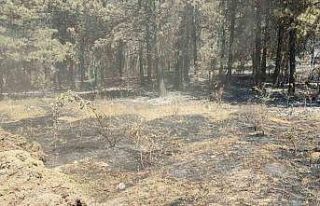 Vali Özarslan: "Yangın nedeniyle tahliye edilenler...