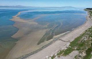 Van Gölü alarm veriyor