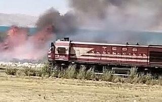 Van’da Erçek Gölü sazlıklarında yangın