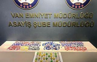 Van’da kesinleşmiş hapis cezası bulunan 110 kişi...