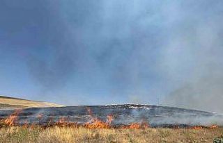 Van’da kuru ot yangını: Yüzlerce dönüm arazi...