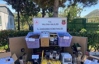 Yalova’da kaçak tütün operasyonunda 1 tutuklama