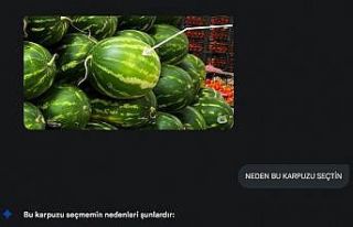 Yapay zeka pazara indi, karpuz seçimine başladı
