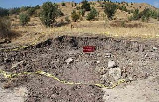 Yaşlı çiftin ölümüne sebep olan kükürtlü...