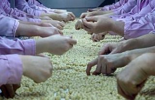 Yedi ayda 14 bin 348 ton ihraç edildi