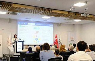 Yerel Kalkınma Hamlesi Teşvik Sistemi Bursa’da...