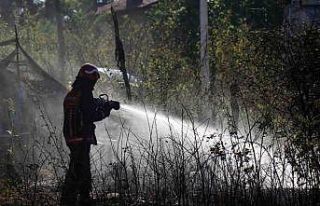 Yerleşim alanına yakın ormanlık alanda korkutan...