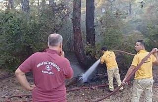 Yıldırım yangını söndürüldü
