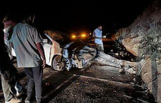 Yola çıkan hayvana çarpmamak için manevra yapan...