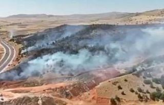 Yozgat’ta 70 dönüm arazi küle döndü