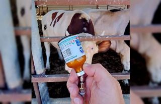 Yozgat’ta kapatılan hayvan pazarları yeniden açıldı