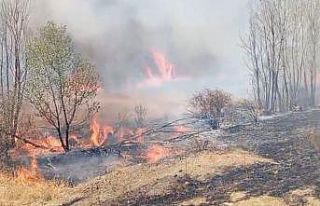 Yozgat’ta peş peşe çıkan yangınlar korkuttu