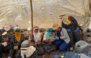 Yüksekova’da berivanlara süt hijyeni eğitimi...