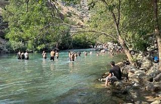 Yüksekova’da sıcakta bunalanlar Avaşin Deresi’nde...