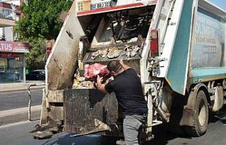Yumurta paketinden hamam böceği yumurtaları çıktı,...