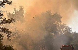 Yunanistan’da orman yangınları yerleşim yerine...