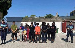 Zeytinlik alana saklanan 16 düzensiz göçmen yakalandı