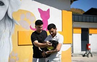 "Zift" yeni yuvasına kavuştu