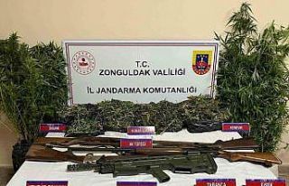 Zonguldak’ta uyuşturucu operasyonu, 1 kişi tutuklandı
