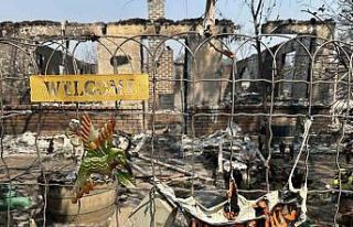 ABD’de orman yangını: 13 bin dönümlük arazi...