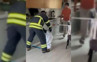 Adana’da mutfaktan çıkan yılan paniğe yol açtı