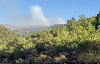 Adıyaman’da korkutan orman yangını