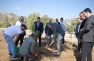 ADÜ’de ’Yeşil Kampüs’ çalışmaları devam...