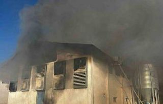 Afyonkarahisar’da tavuk çiftliğinde yangın