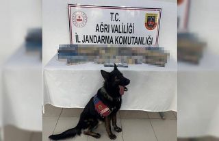 Ağrı’da bin 227 paket gümrük kaçağı sigara...