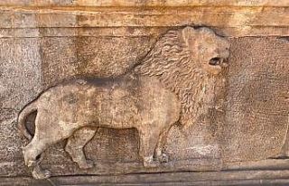 Ağrı’da ele geçirilen lahitlerin sahte olduğu...