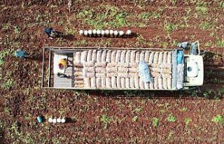 Ağustosta en çok ucuzlayan ürün patates oldu