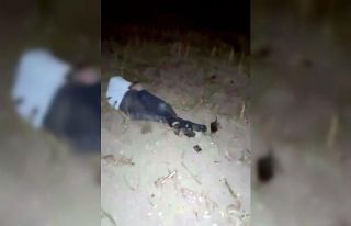 Alkollü sürücünün kontrolünden çıkan araç...