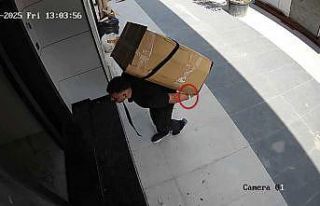 Ankara’da villadan çelik kasa çalan 3 şüpheli...