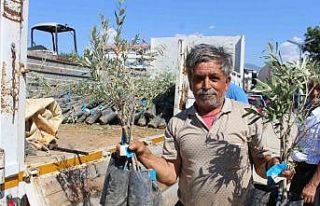 Antalya Büyükşehir Belediyesi’nden fidan desteği