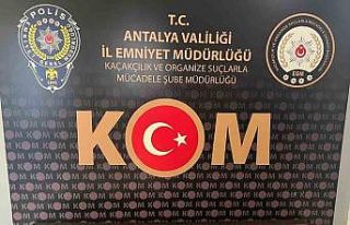 Antalya’da KOM ekipleri 712 bin 440 adet makaron...