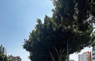 Antalya’da son 1 haftada 16 bin 155 araç ve sürücüsüne...