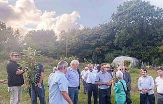 Arıcılar ve akademisyenler kestane balının geleceğini...