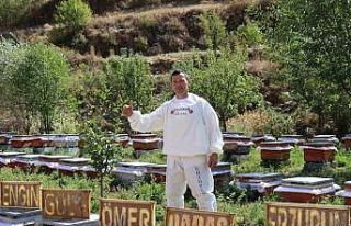 Arılarına yazmayı öğretti