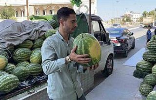 Arnavutköy’de hırsız tezgahtan 15 karpuz çaldı:...